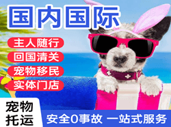 图木舒克唐王城航空货运国际宠物托运 【国